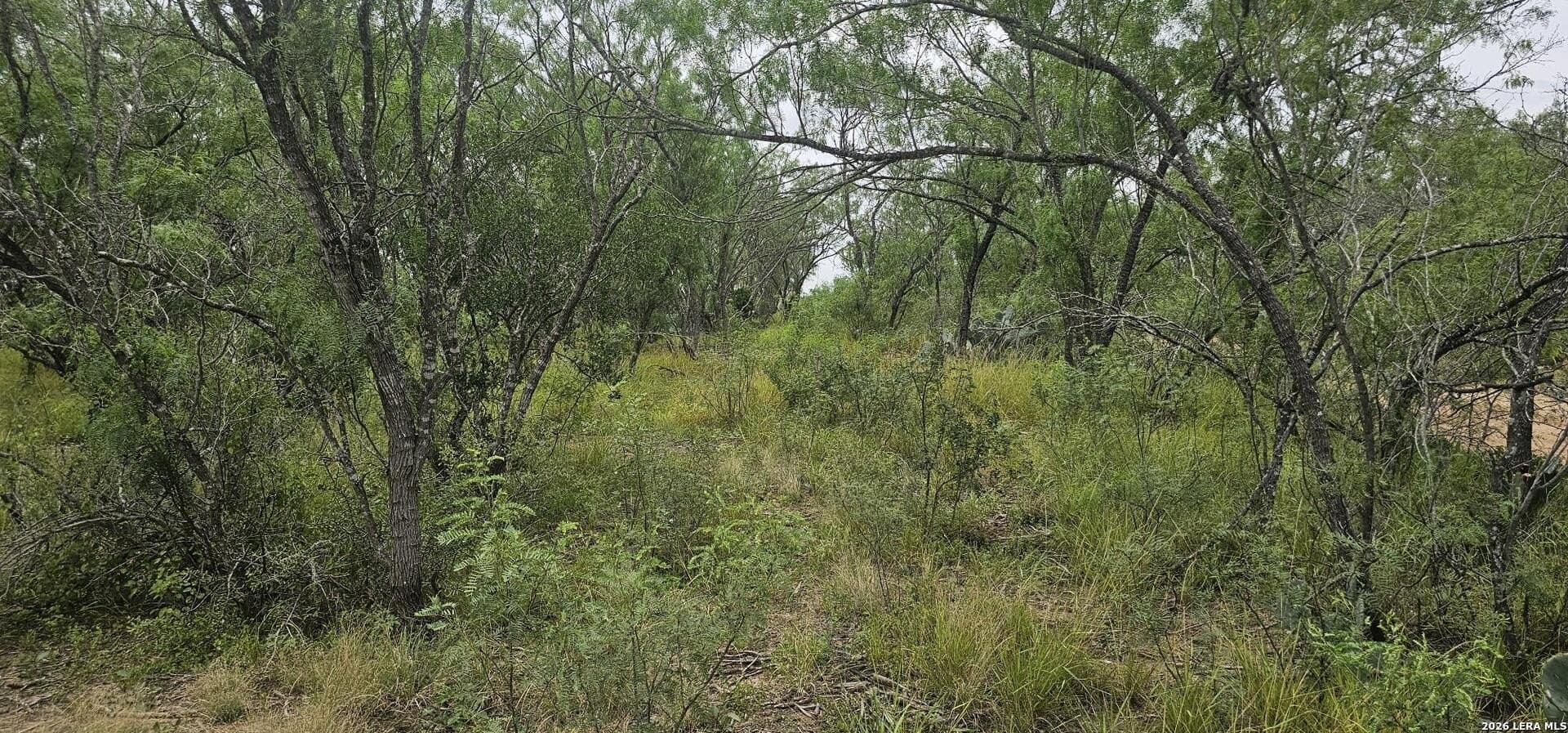 1.09 acres in Atascosa County - photo 26