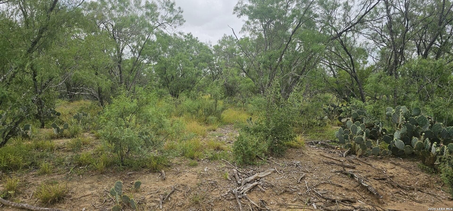 1.09 acres in Atascosa County - photo 6