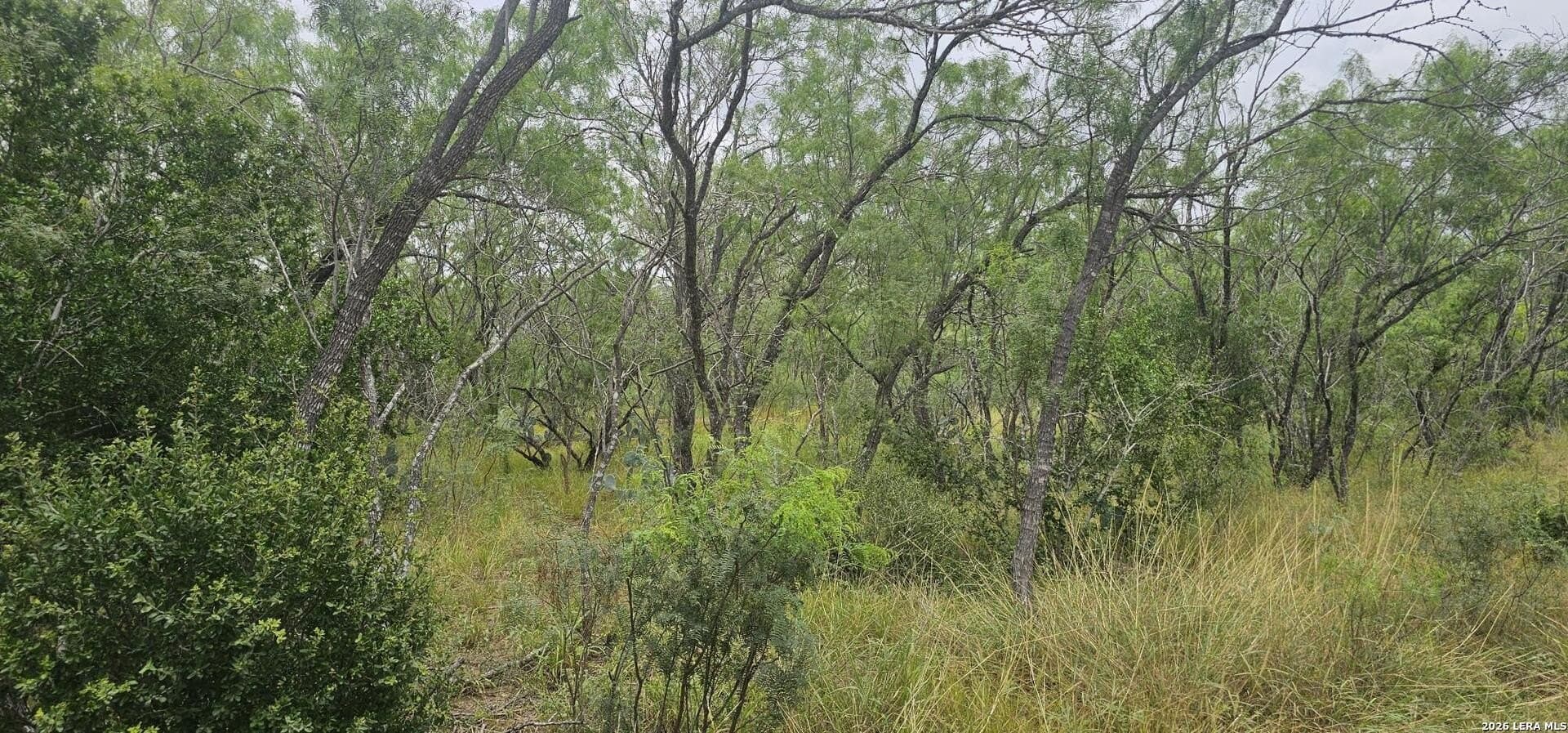 1.09 acres in Atascosa County - photo 24