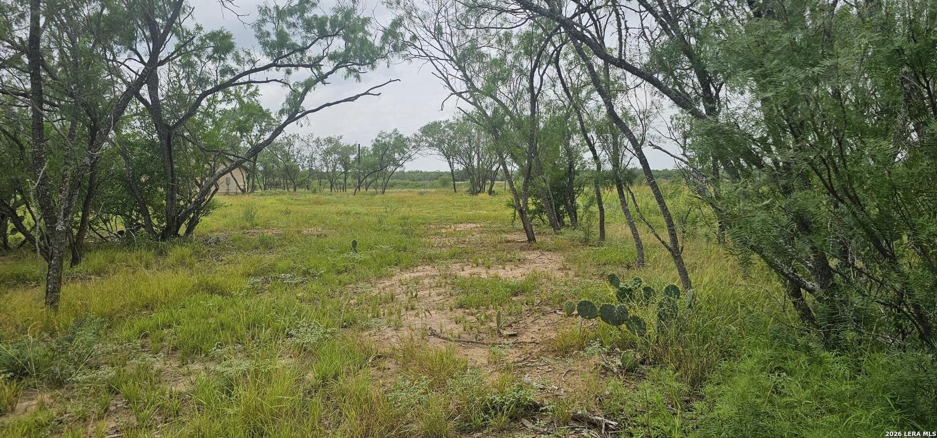 1.09 acres in Atascosa County - photo 20