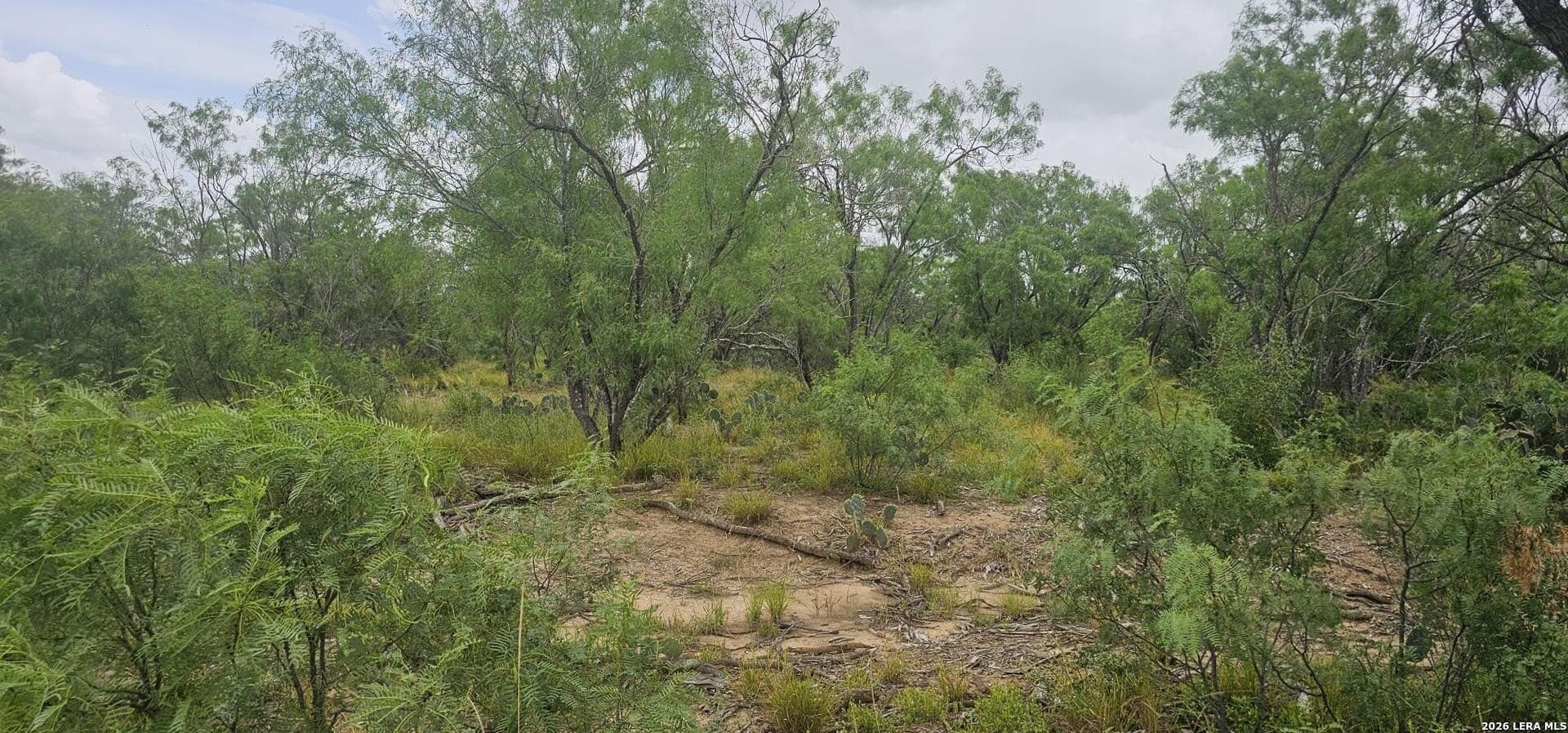 1.09 acres in Atascosa County featured view