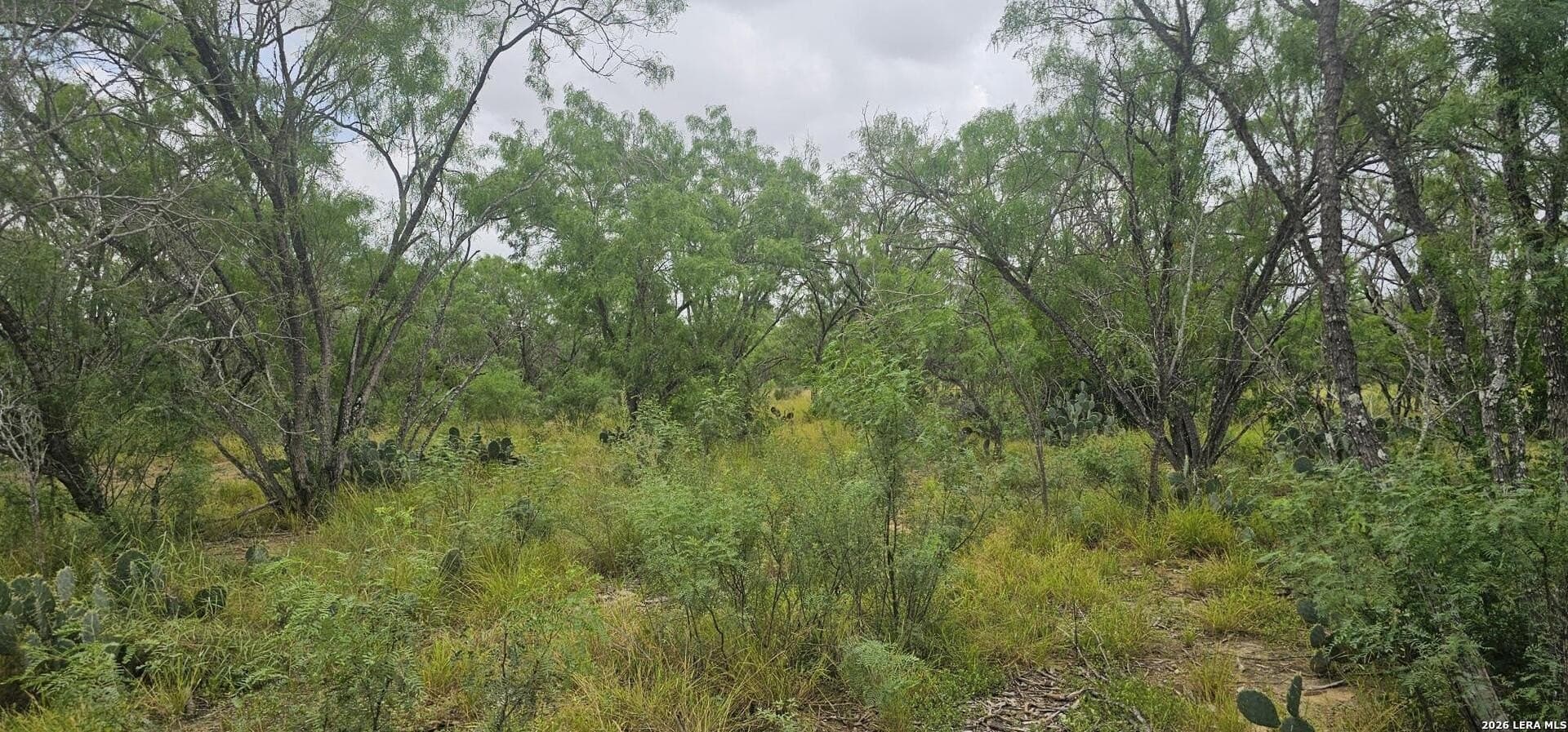 1.09 acres in Atascosa County - photo 7