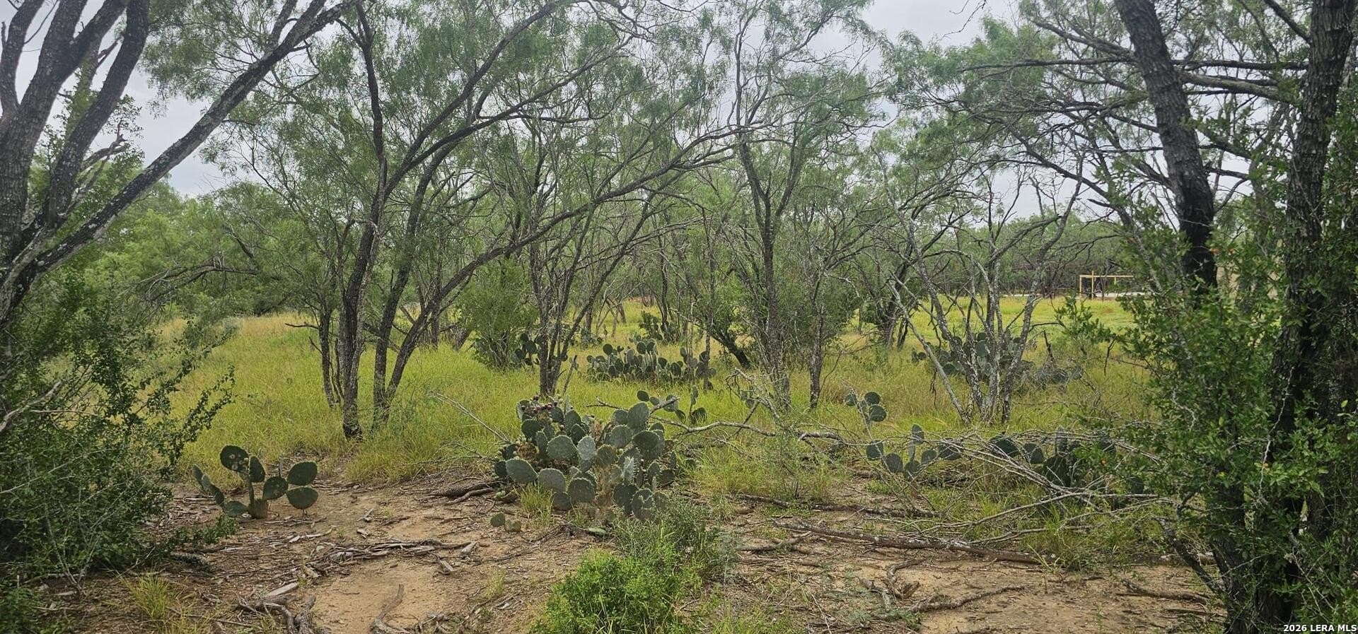 1.09 acres in Atascosa County - photo 11