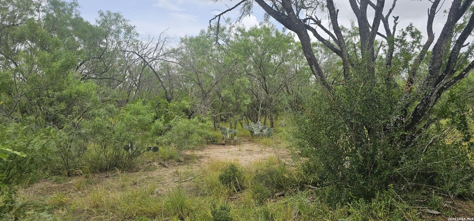 1.09 acres in Atascosa County - photo 12