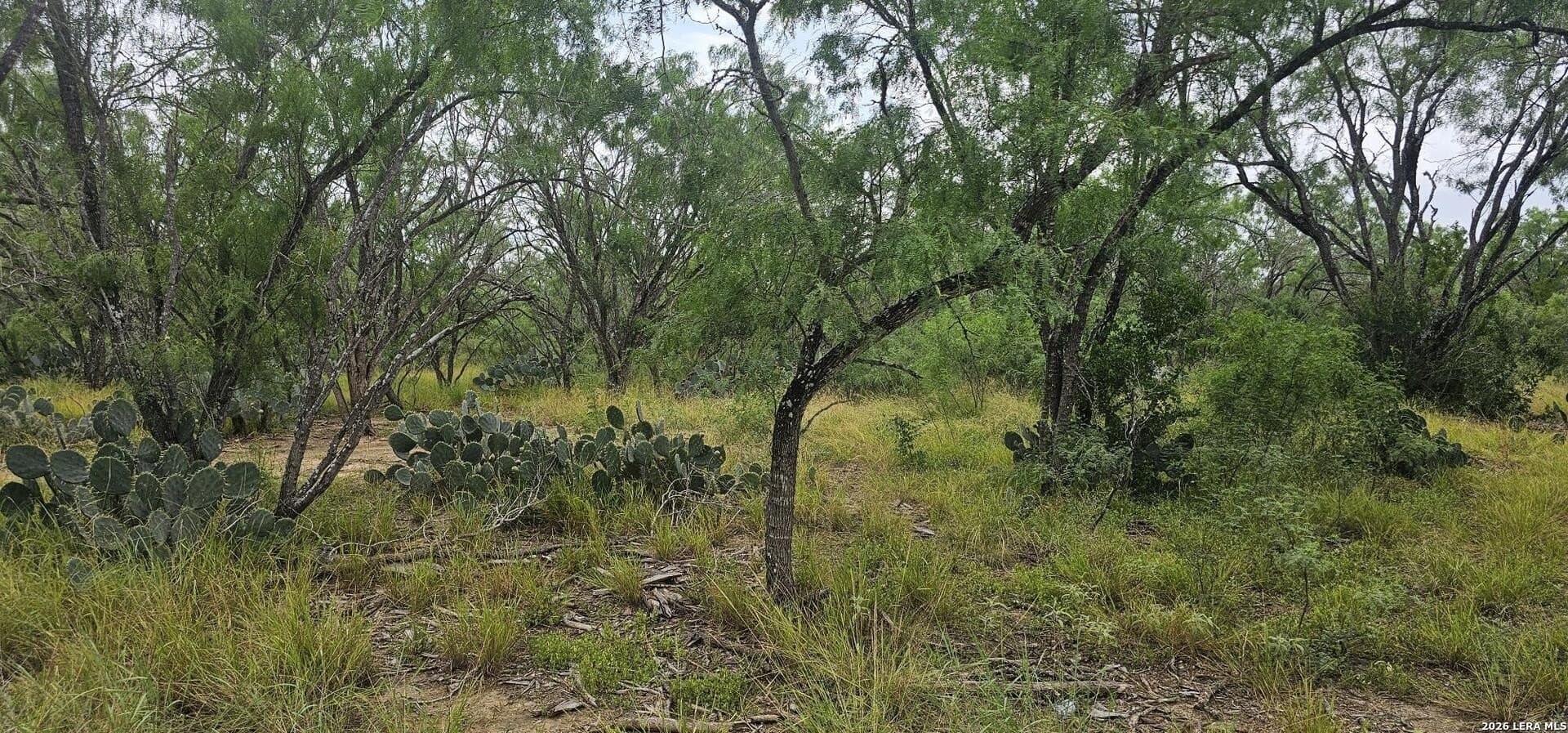1.09 acres in Atascosa County - photo 9