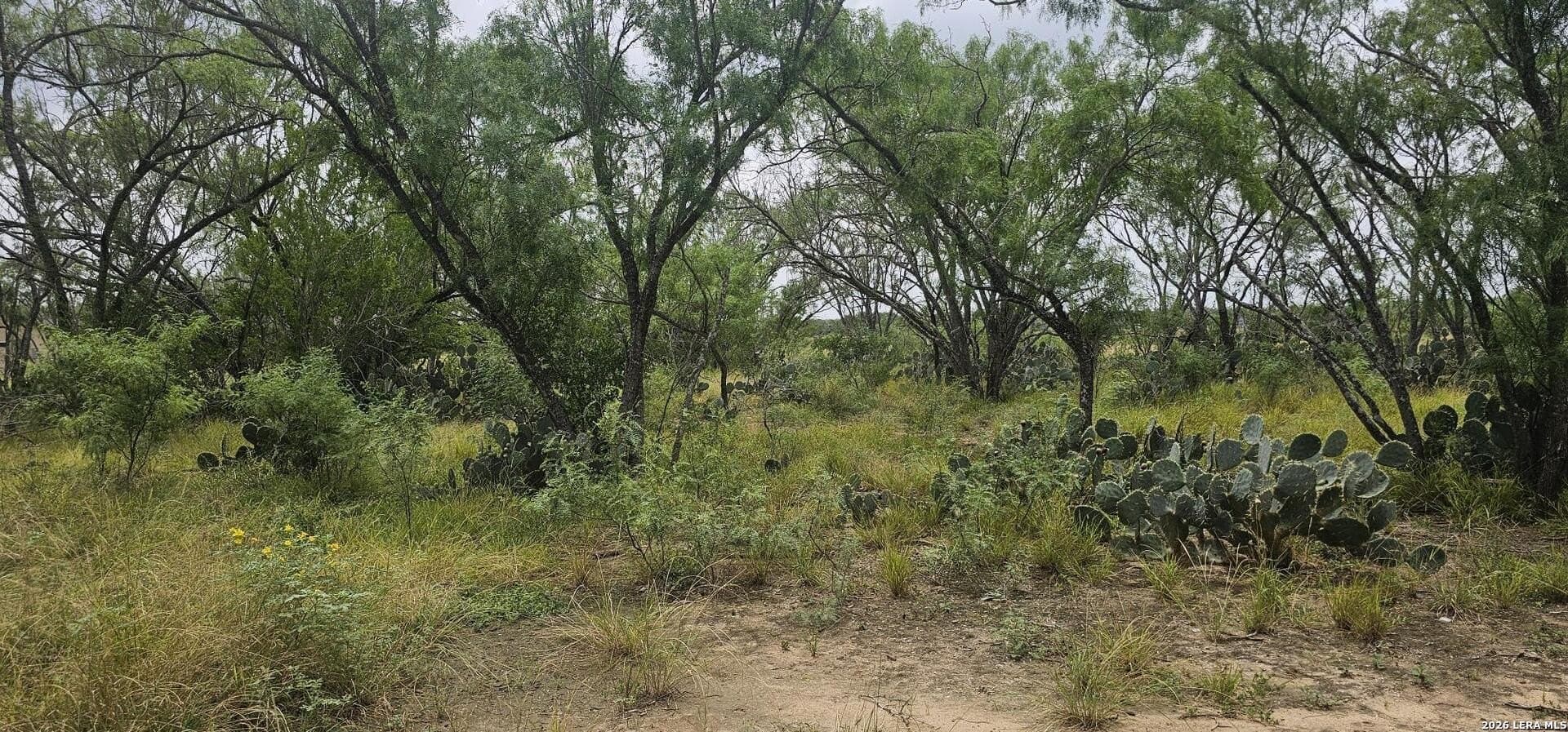 1.09 acres in Atascosa County - photo 31