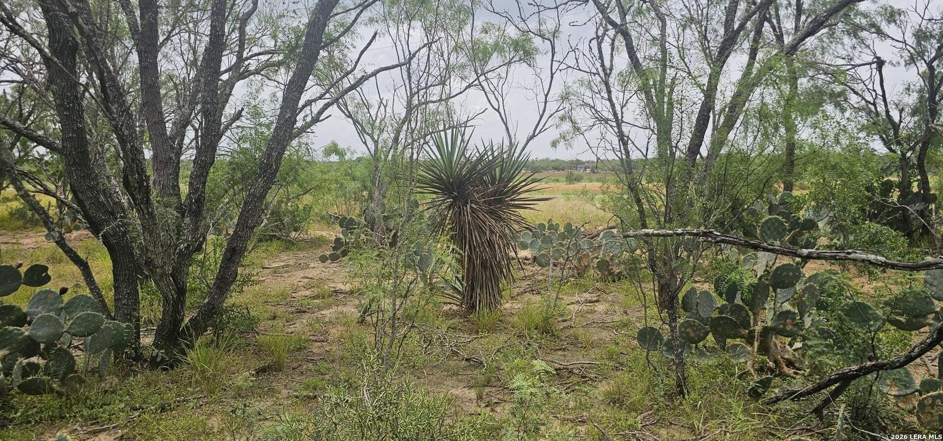 1.09 acres in Atascosa County - photo 33