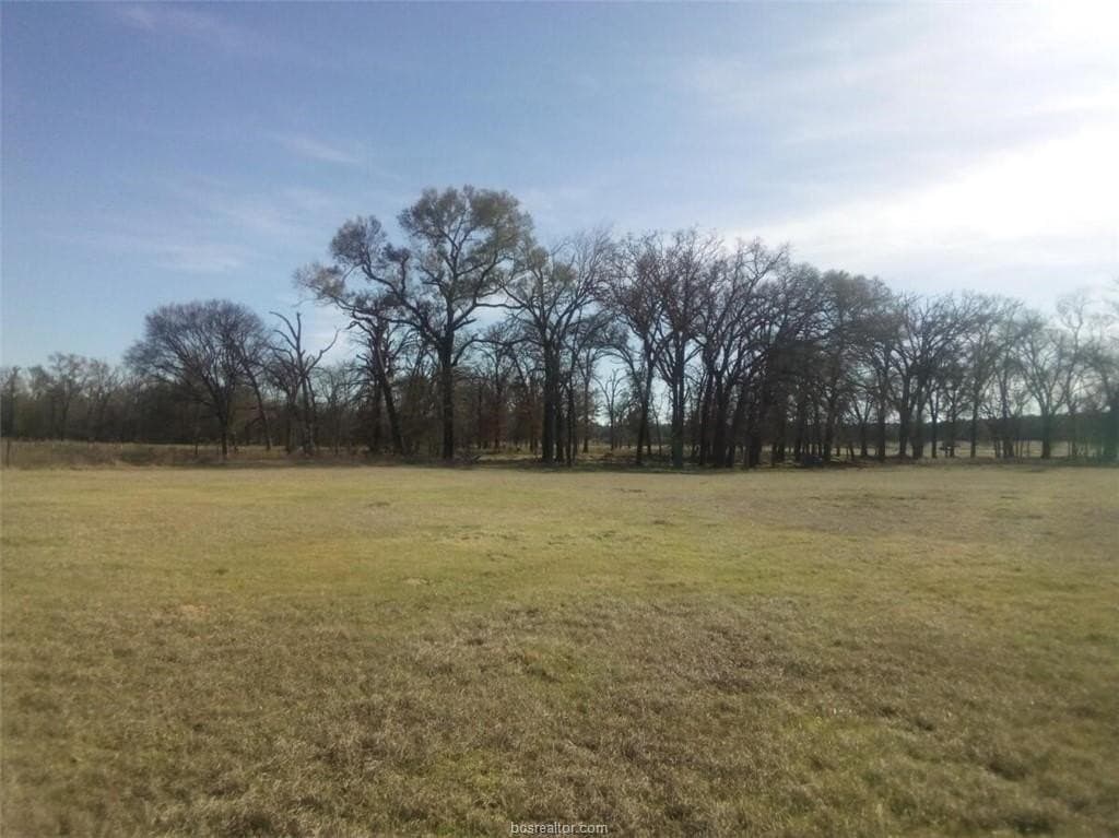 14.02 acres in Leon County gallery image 2