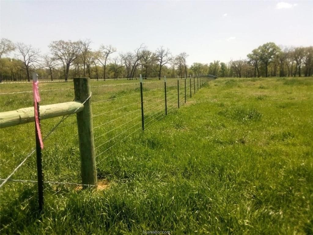 14.02 acres in Leon County - photo 8