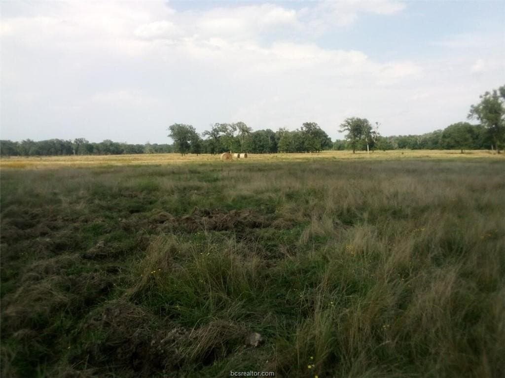 14.02 acres in Leon County - photo 11