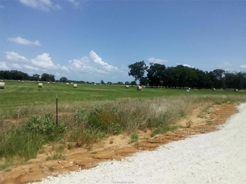 14.02 acres in Leon County gallery image 4