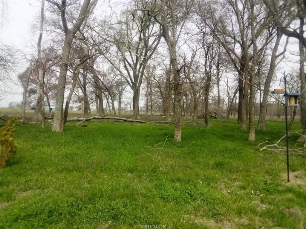 14.02 acres in Leon County - photo 13