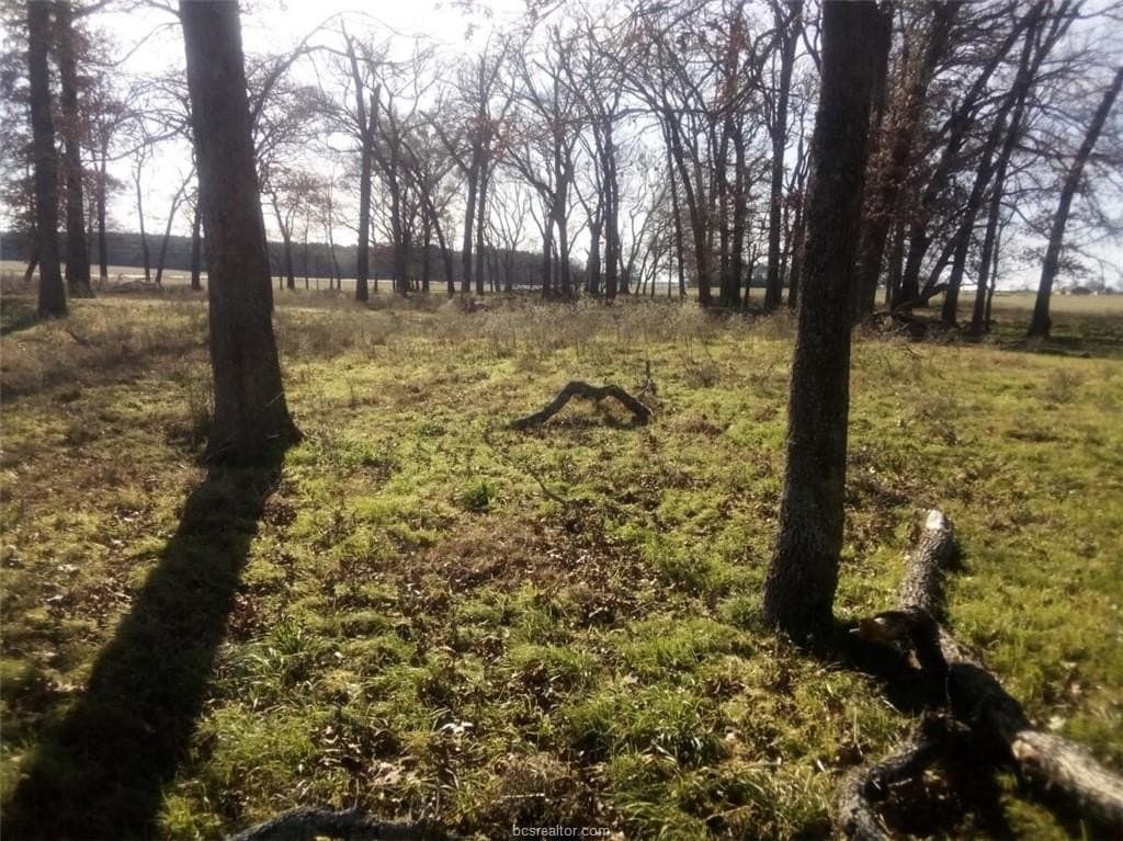 14.02 acres in Leon County - photo 12
