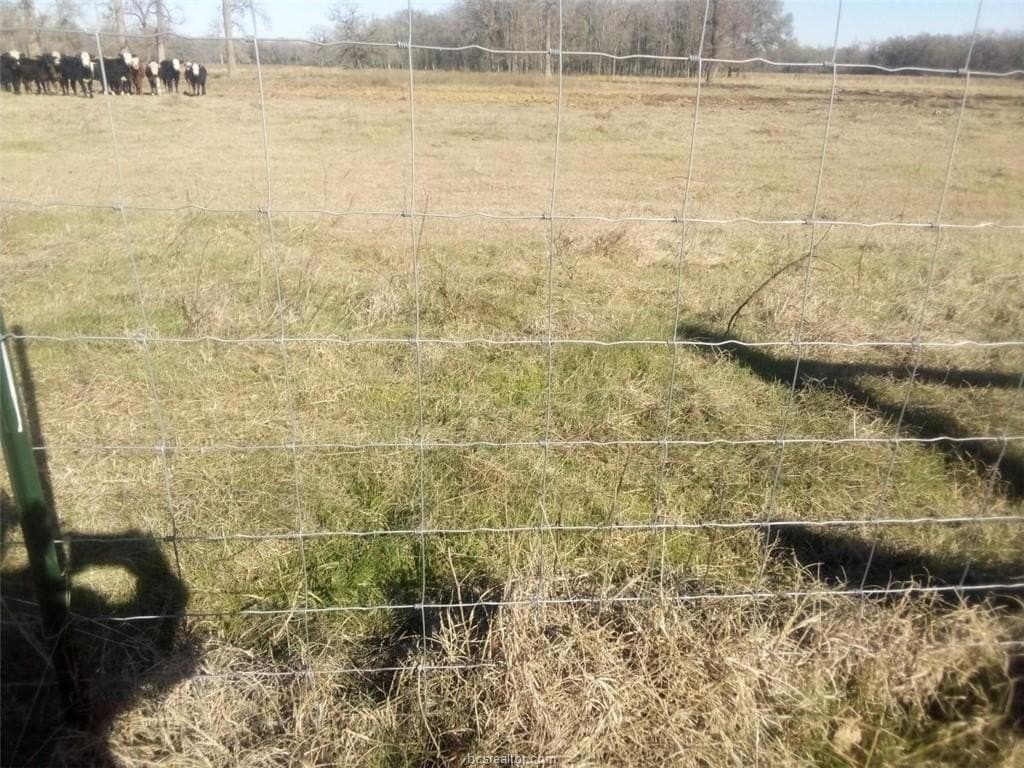 14.02 acres in Leon County - photo 10