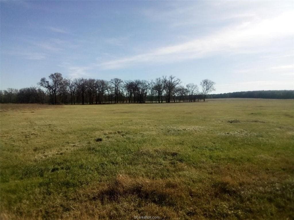 14.02 acres in Leon County - photo 6