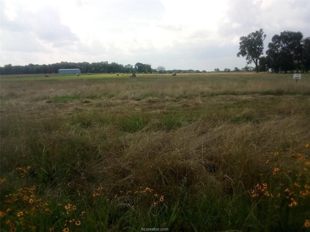 14.02 acres in Leon County - photo 9