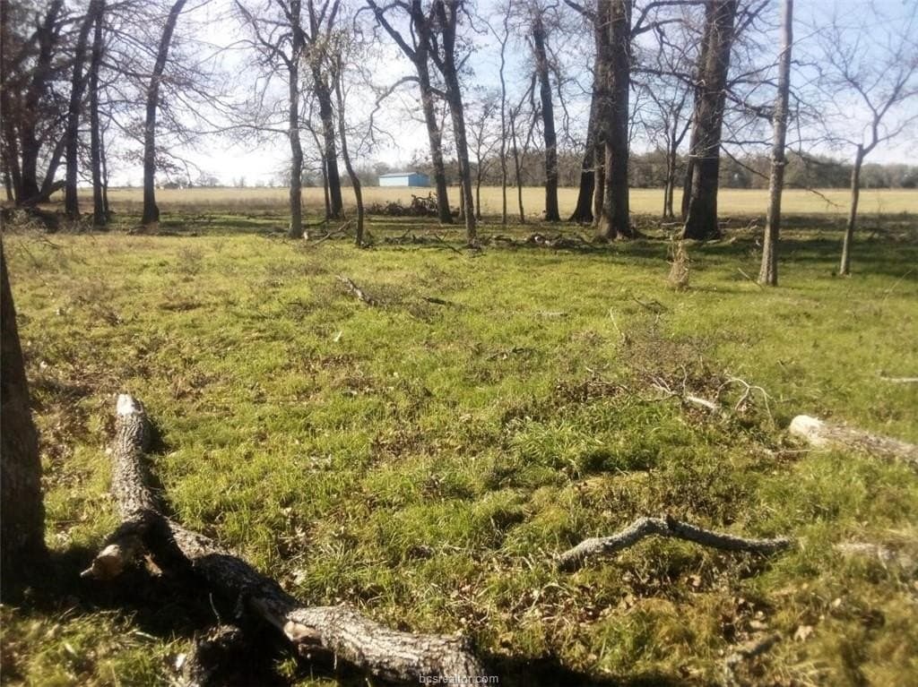 14.02 acres in Leon County - photo 14