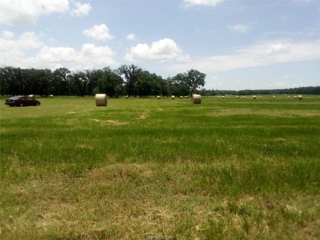 14.02 acres in Leon County - photo 7