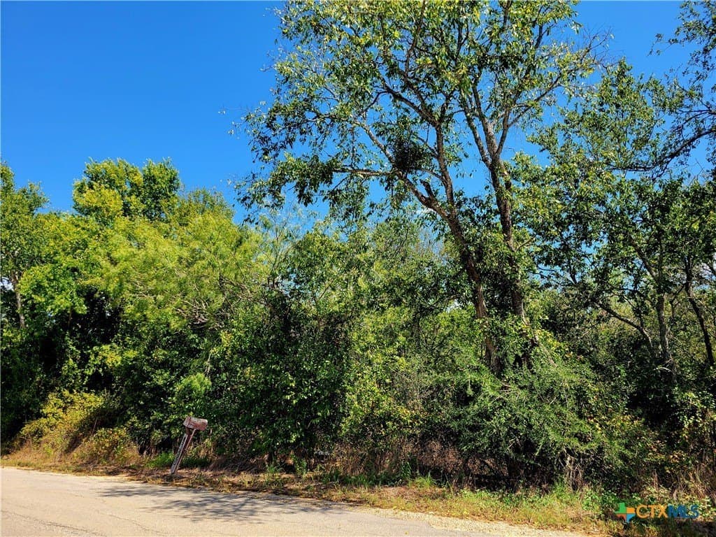 20.92 acres in Caldwell County - photo 6