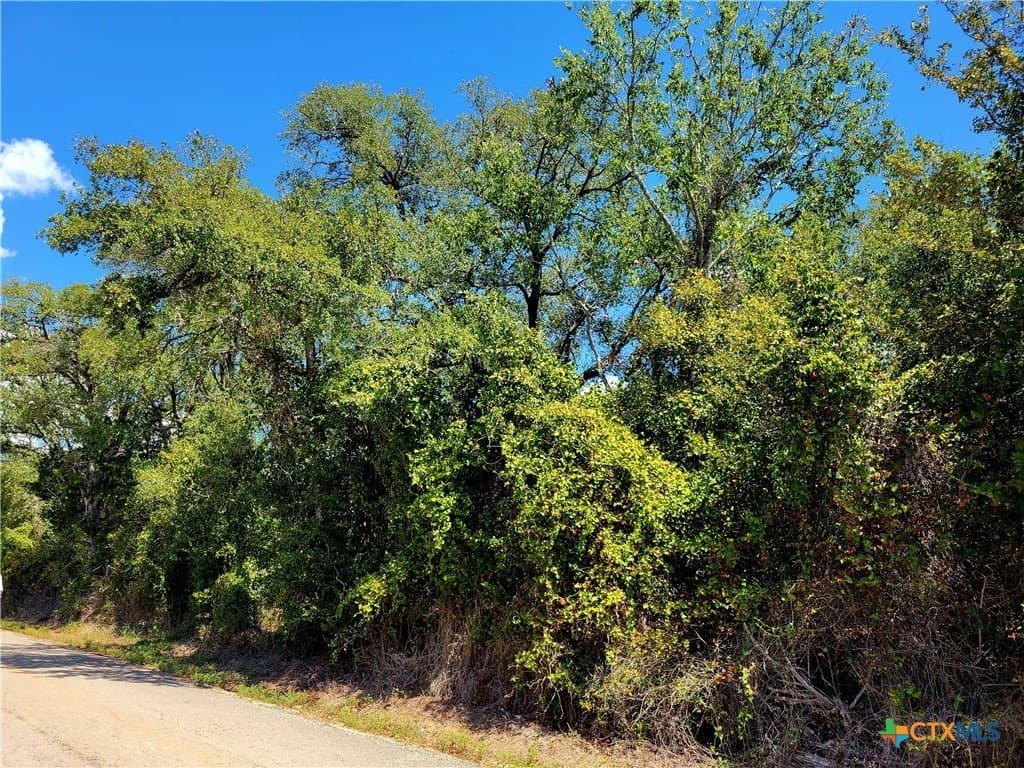 20.92 acres in Caldwell County - photo 9