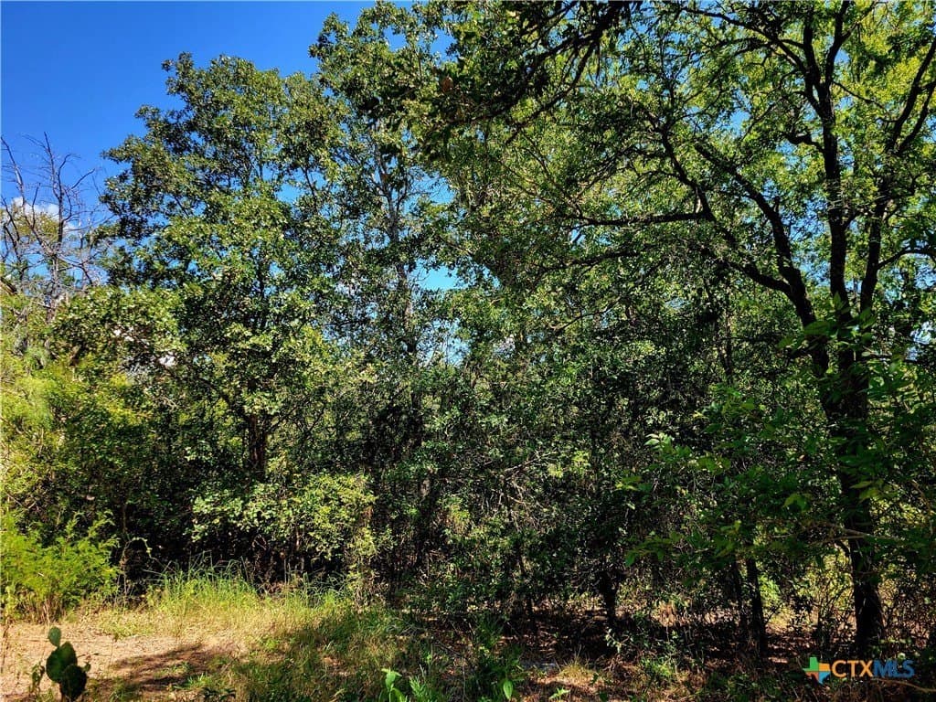 20.92 acres in Caldwell County - photo 16
