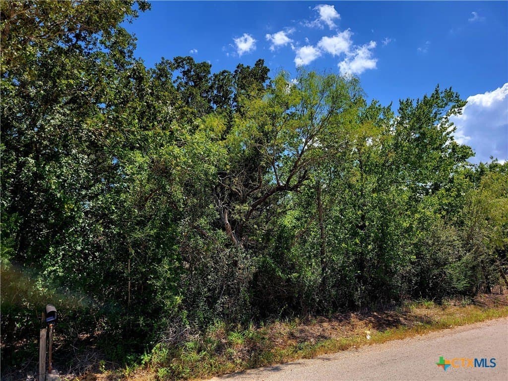 20.92 acres in Caldwell County - photo 10
