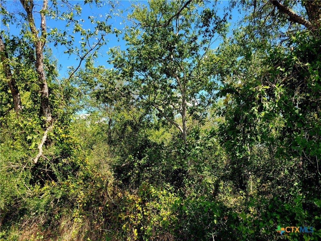 20.92 acres in Caldwell County - photo 17