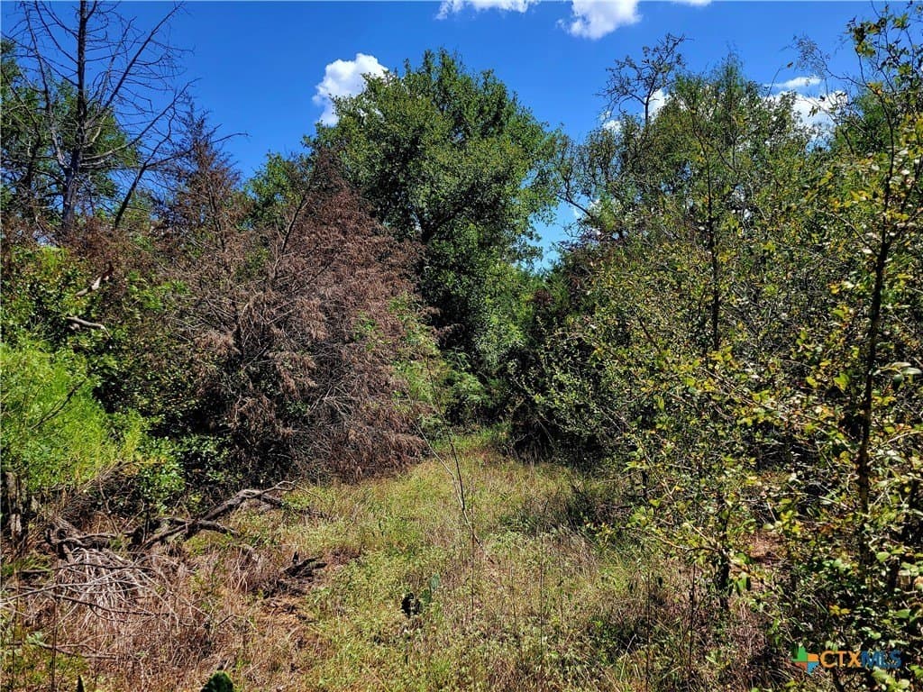 20.92 acres in Caldwell County - photo 18