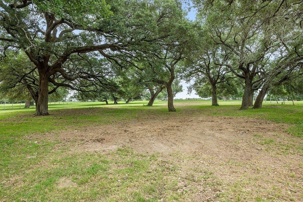 10 acres in Fayette County gallery image 4