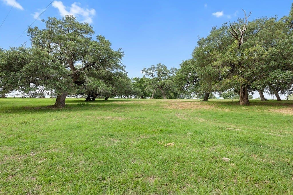 10 acres in Fayette County gallery image 2