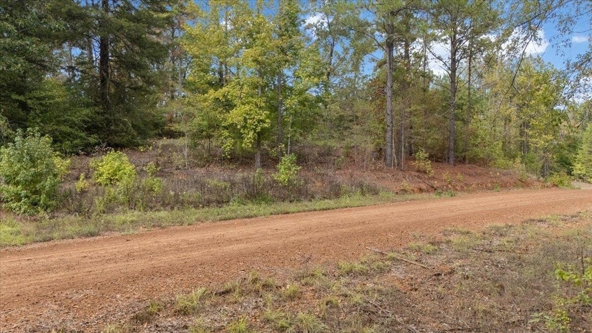 3.84 acres in Upshur County - photo 12