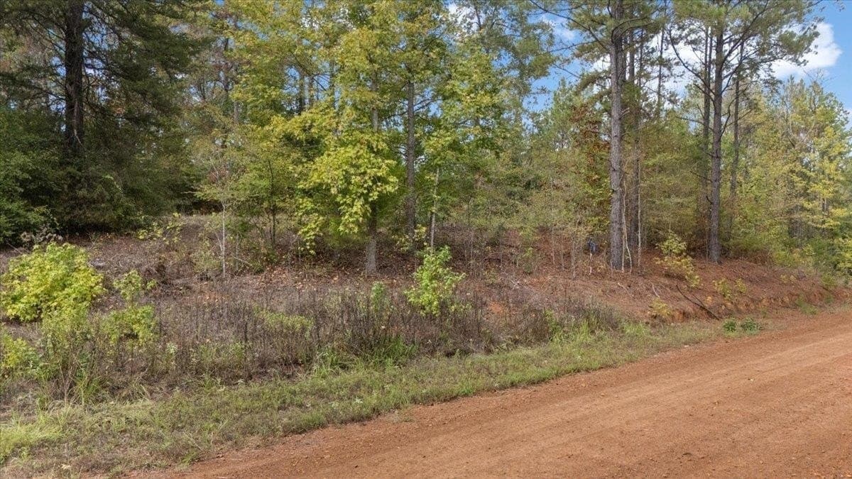 3.84 acres in Upshur County - photo 11