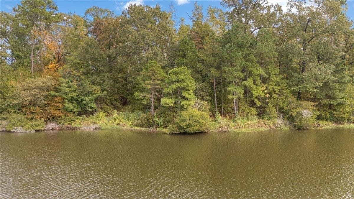 3.84 acres in Upshur County - photo 7