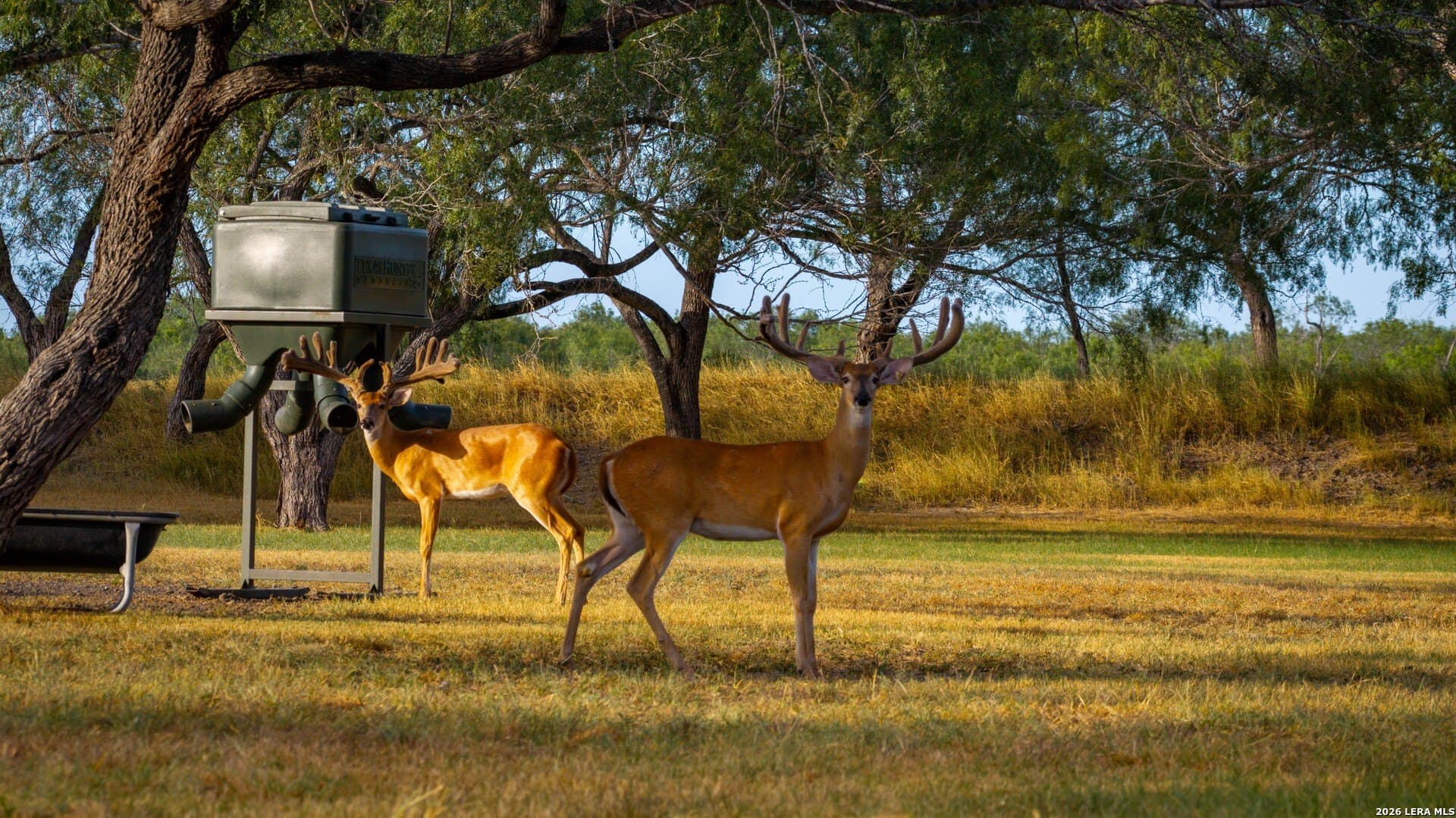 143.57 acres in Karnes County - photo 7