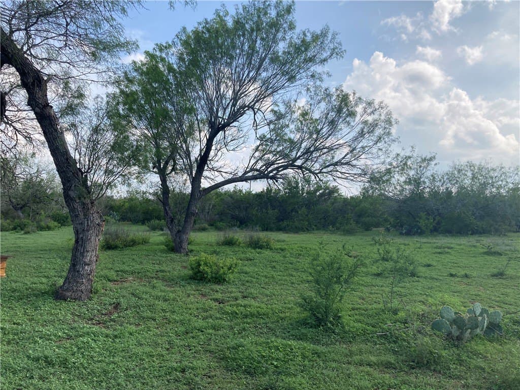190 acres in Duval County gallery image 4