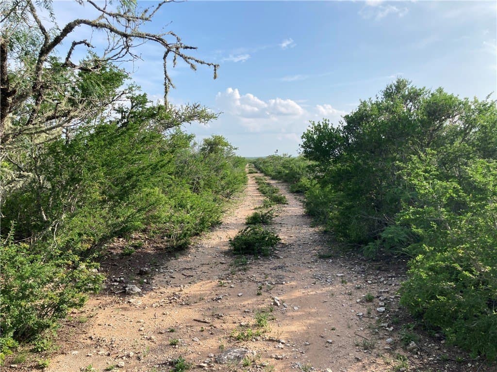 190 acres in Duval County - photo 19