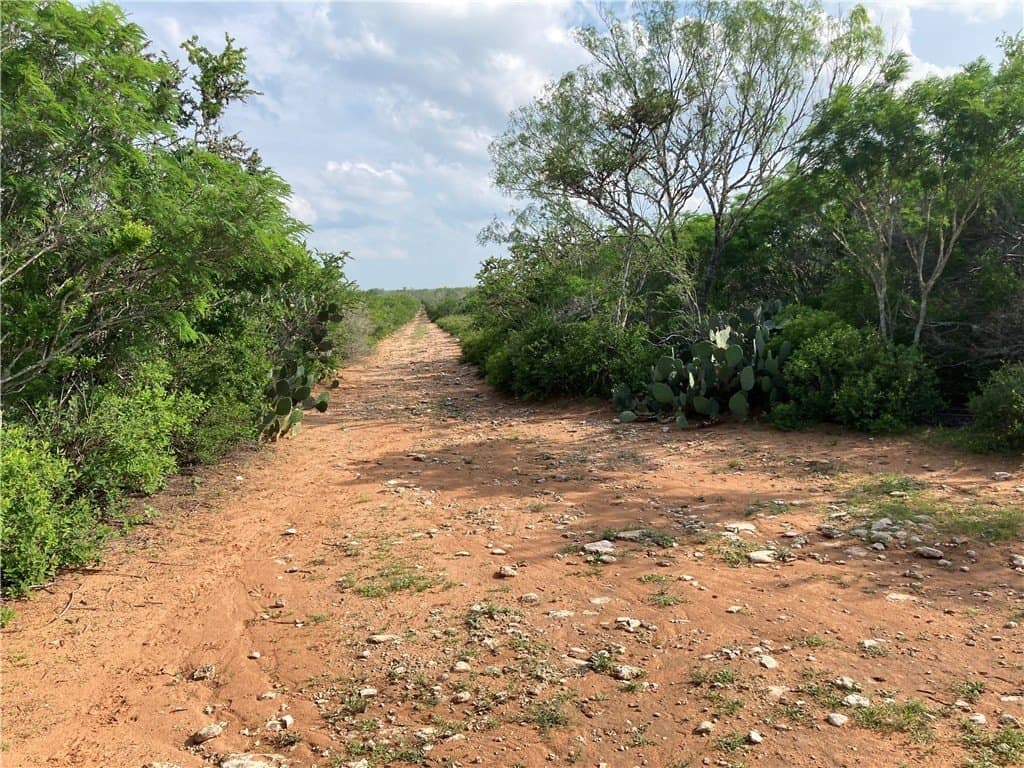 190 acres in Duval County - photo 14