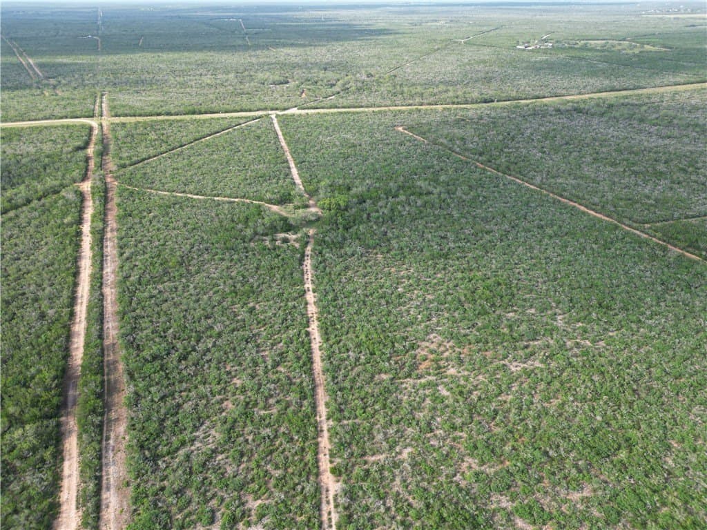 190 acres in Duval County - photo 13