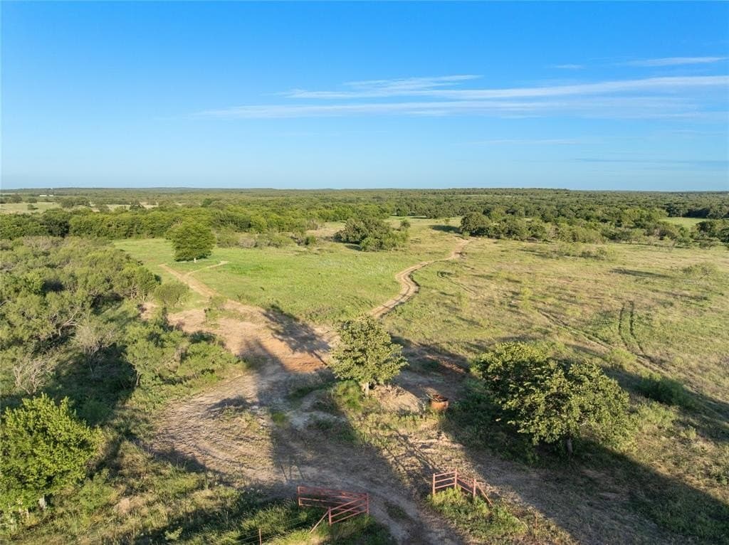 28 acres in Clay County gallery image 4