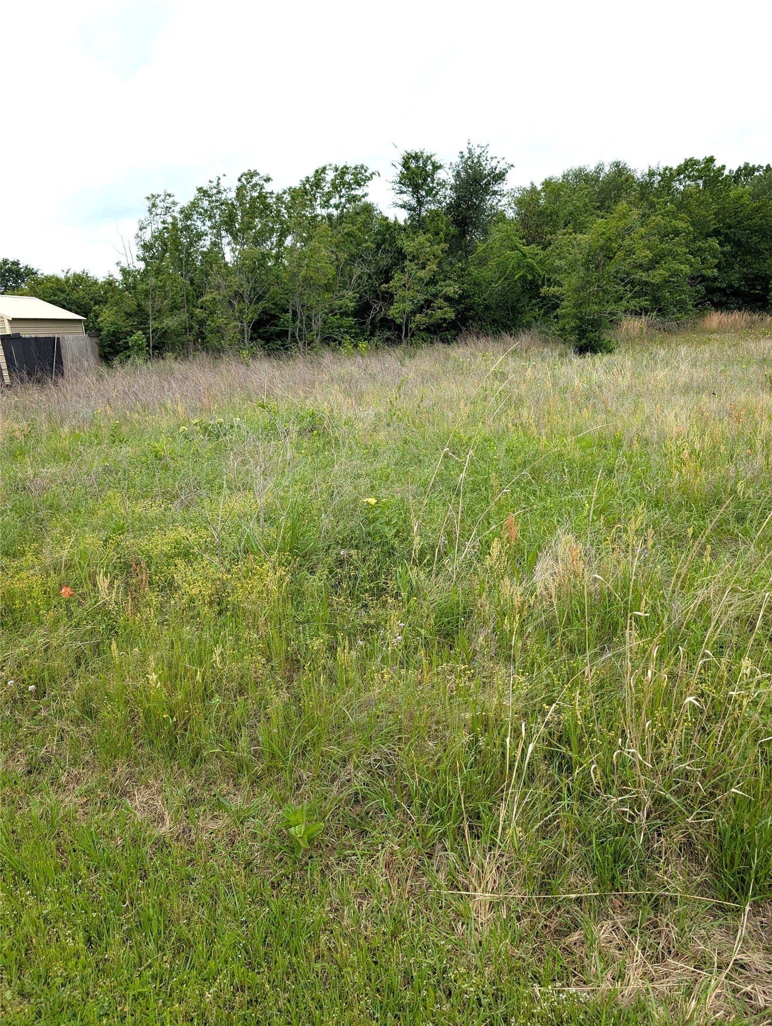 0.35 acres in Henderson County gallery image 2