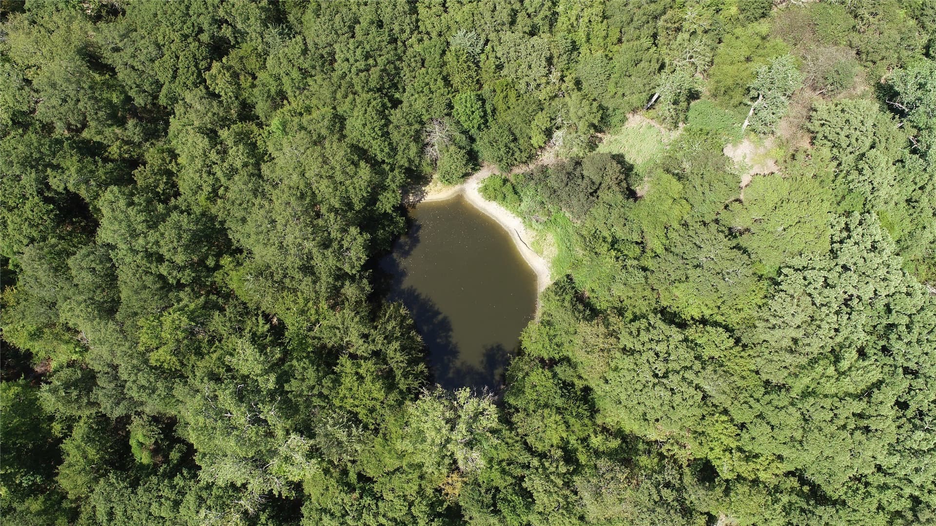40 acres in Hunt County - photo 32