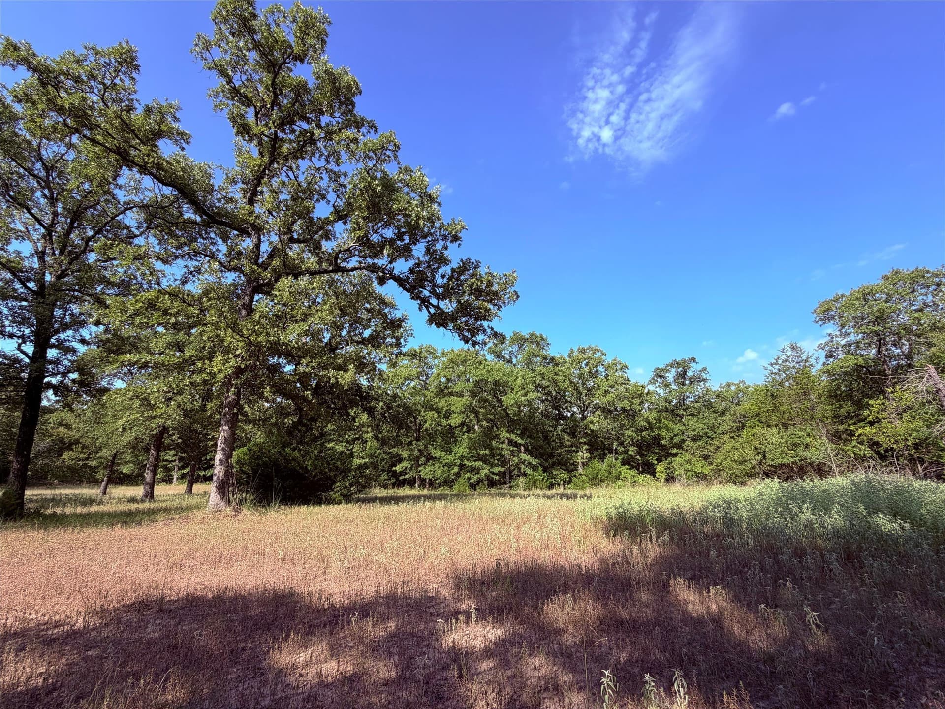 40 acres in Hunt County - photo 27