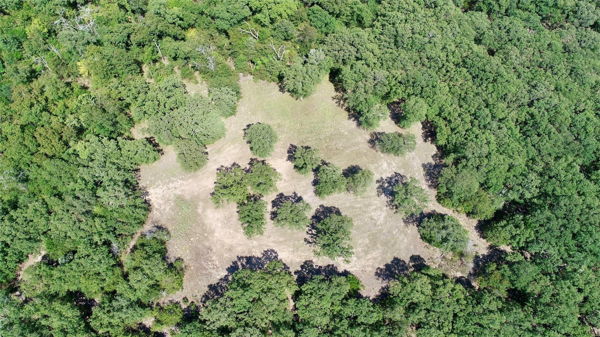40 acres in Hunt County - photo 31