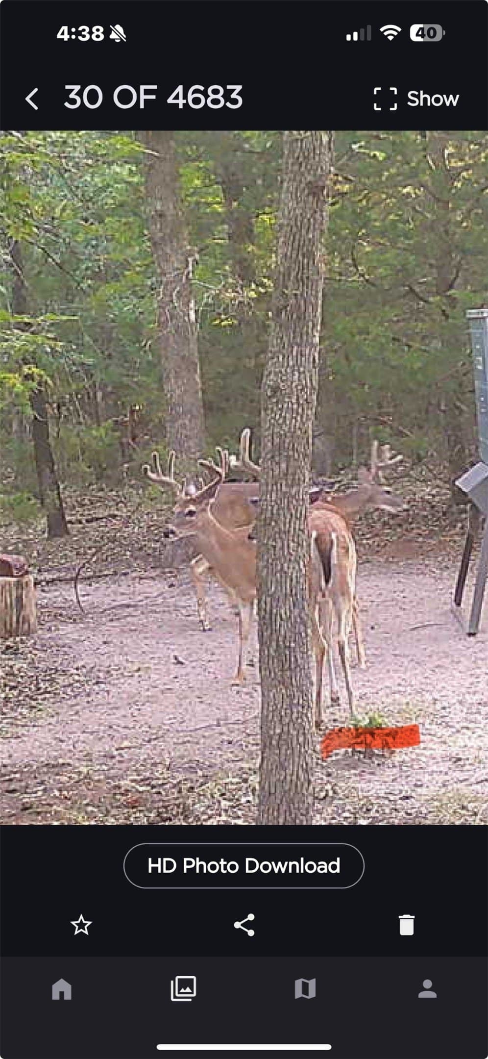 40 acres in Hunt County - photo 23