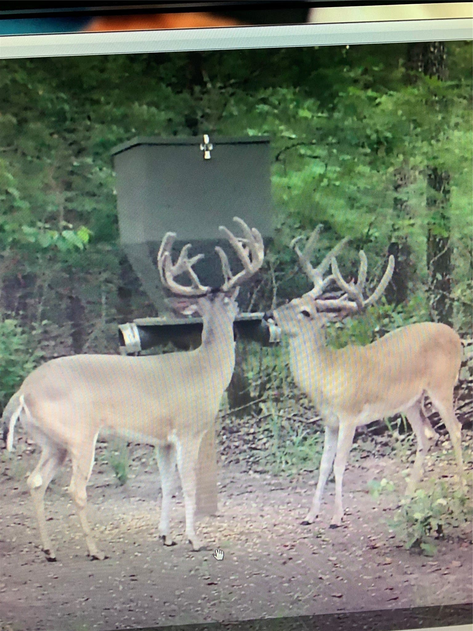 40 acres in Hunt County - photo 21