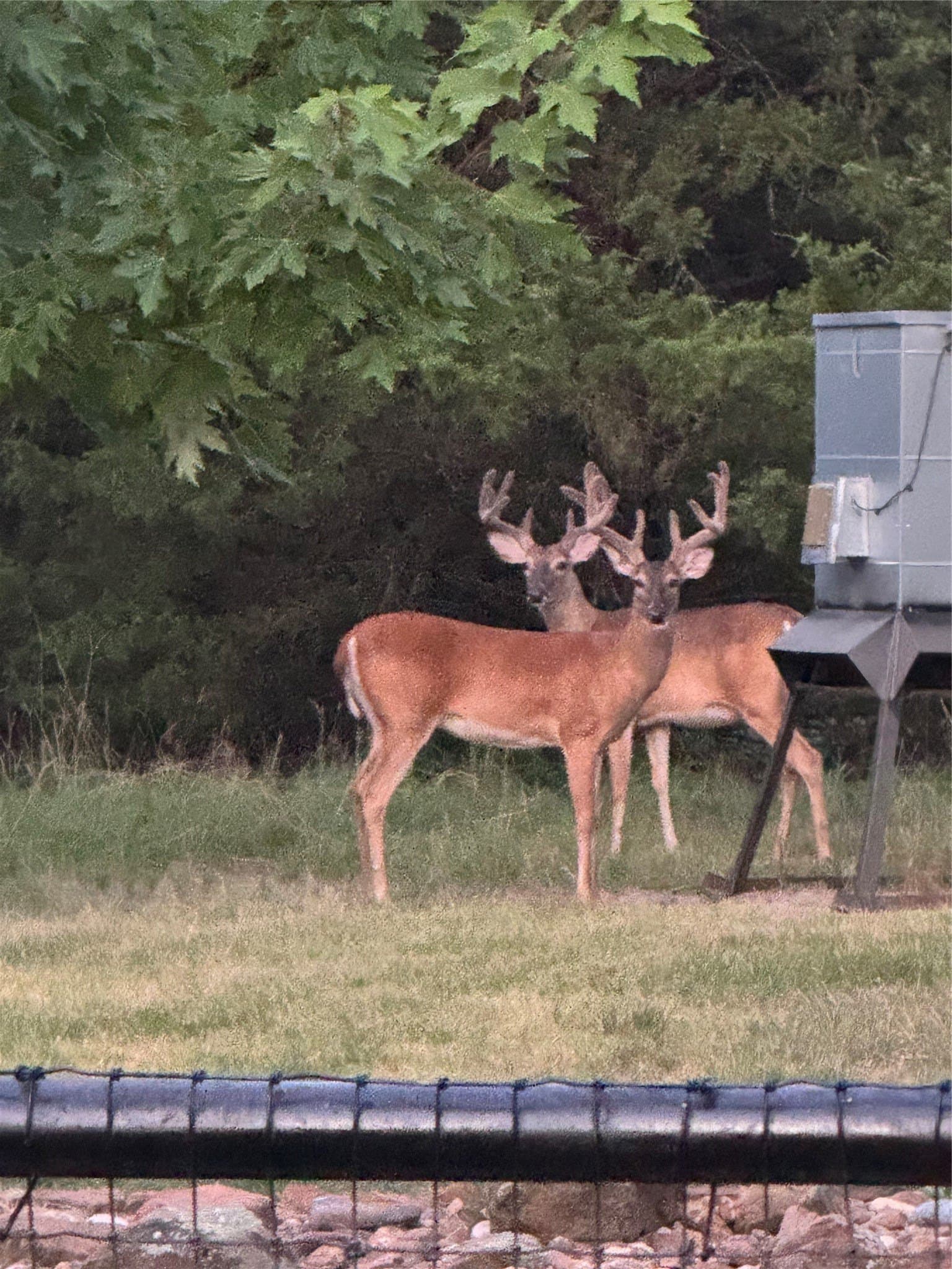 40 acres in Hunt County - photo 29