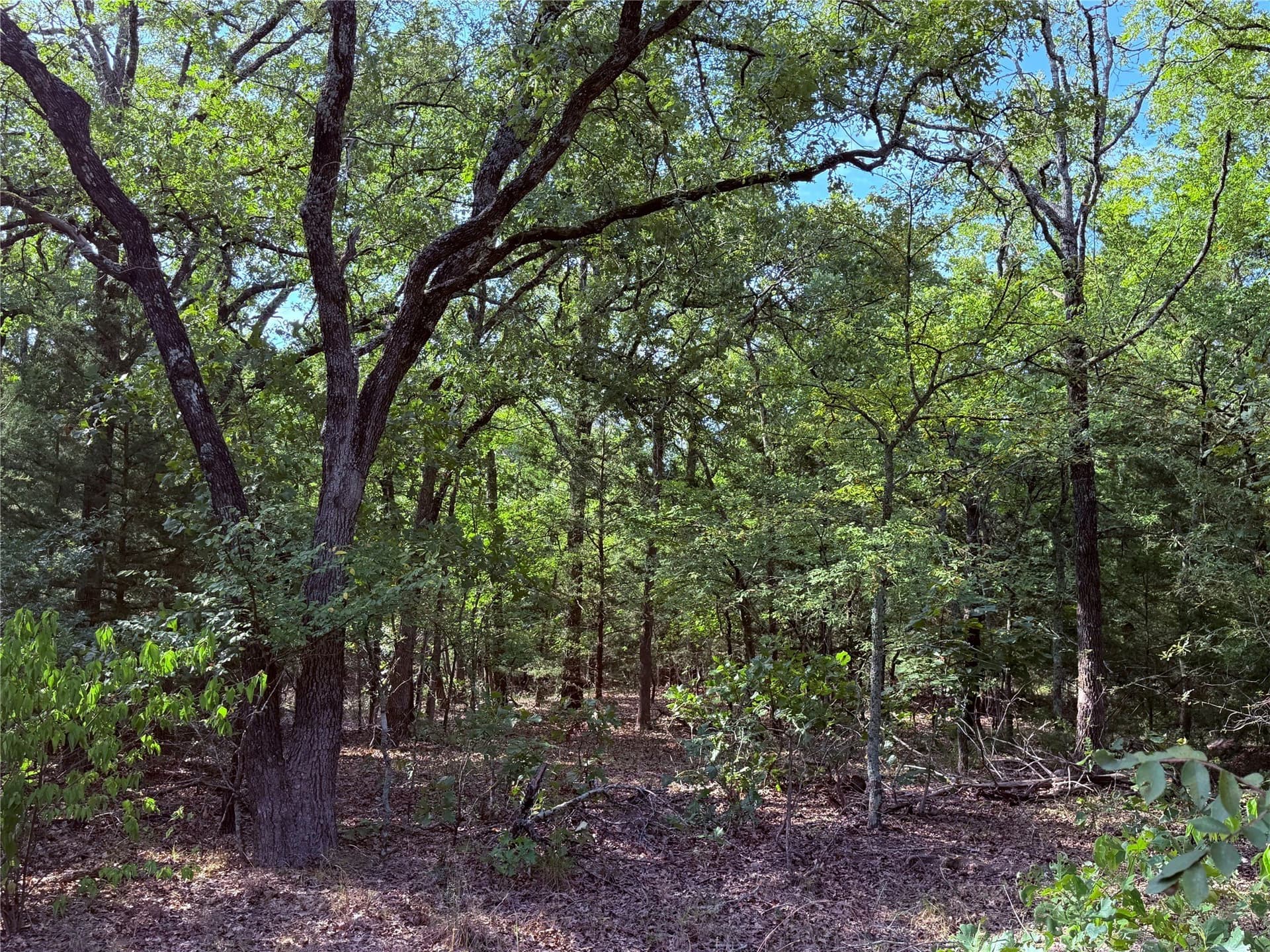 40 acres in Hunt County - photo 28