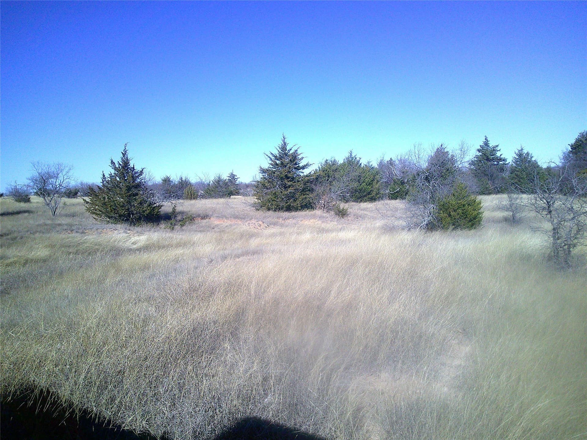11.91 acres in Wise County - photo 3