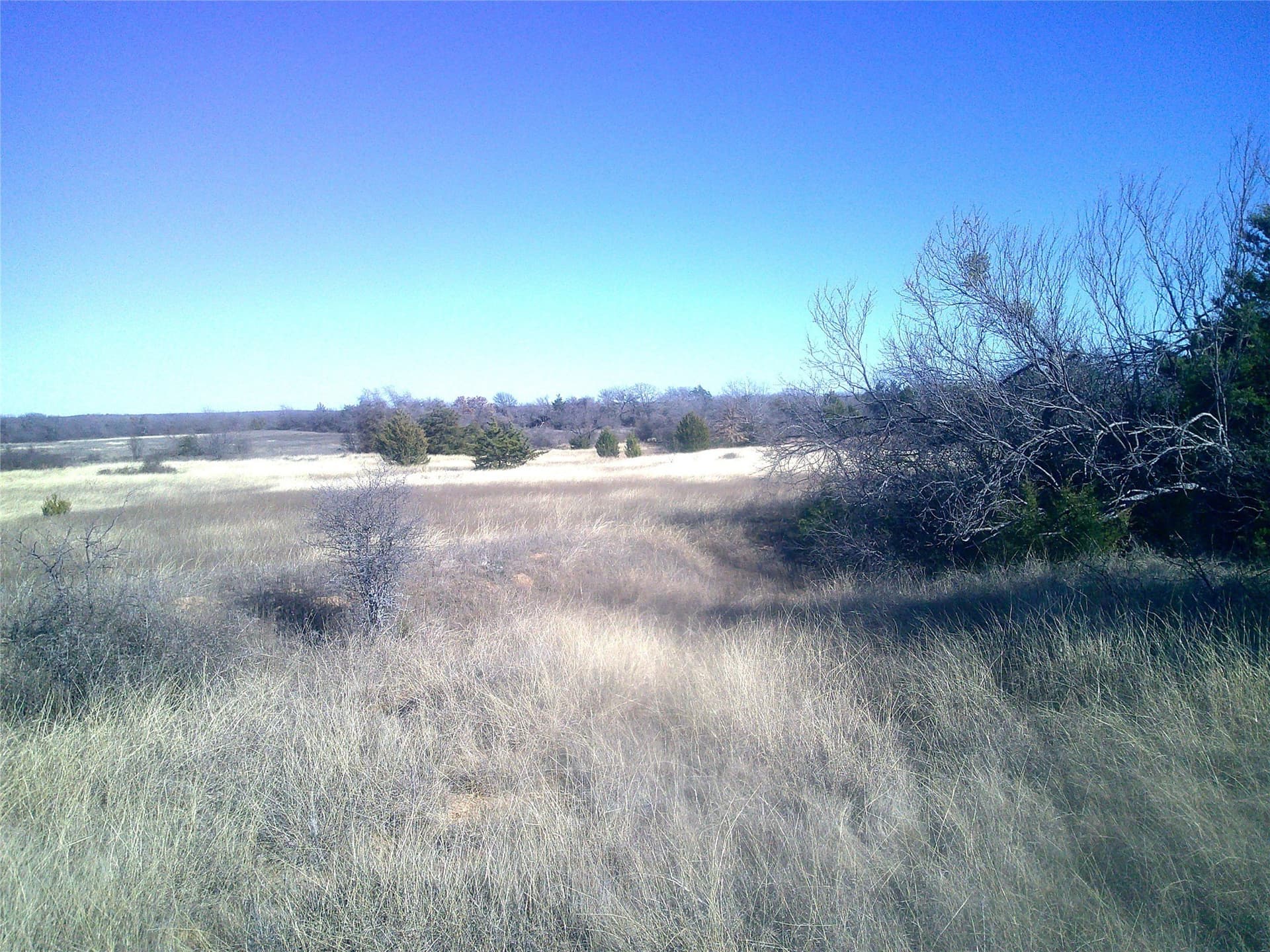 11.91 acres in Wise County - photo 4