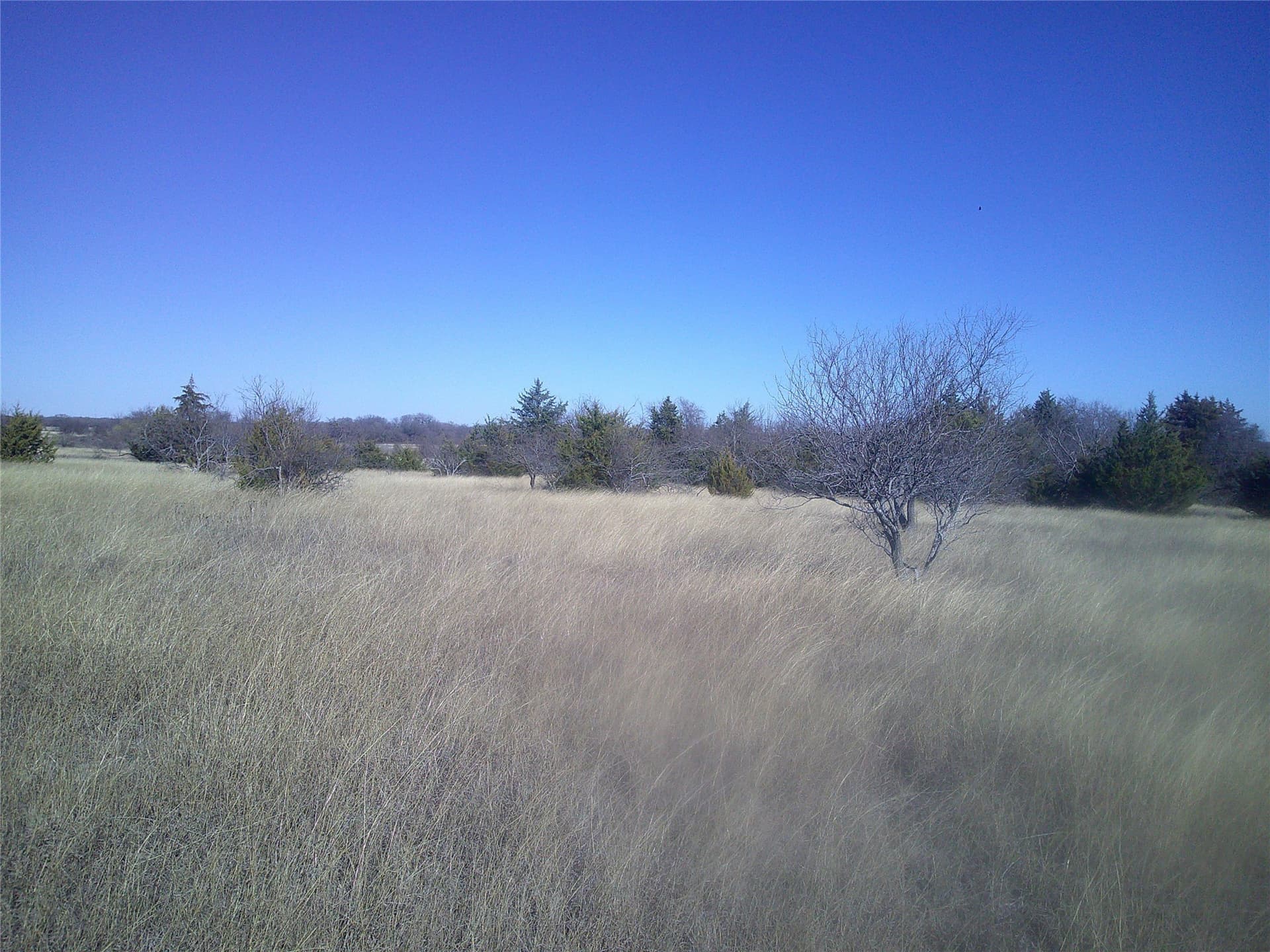 11.91 acres in Wise County - photo 2